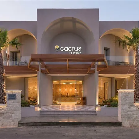 Cactus Mare Stalida